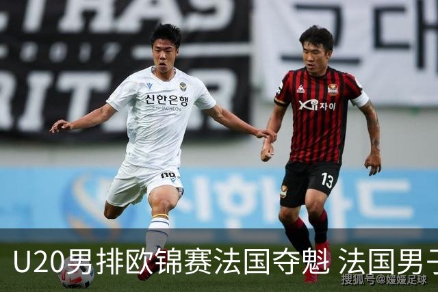 U20男排欧锦赛法国夺魁 法国男子排球赛季大满贯